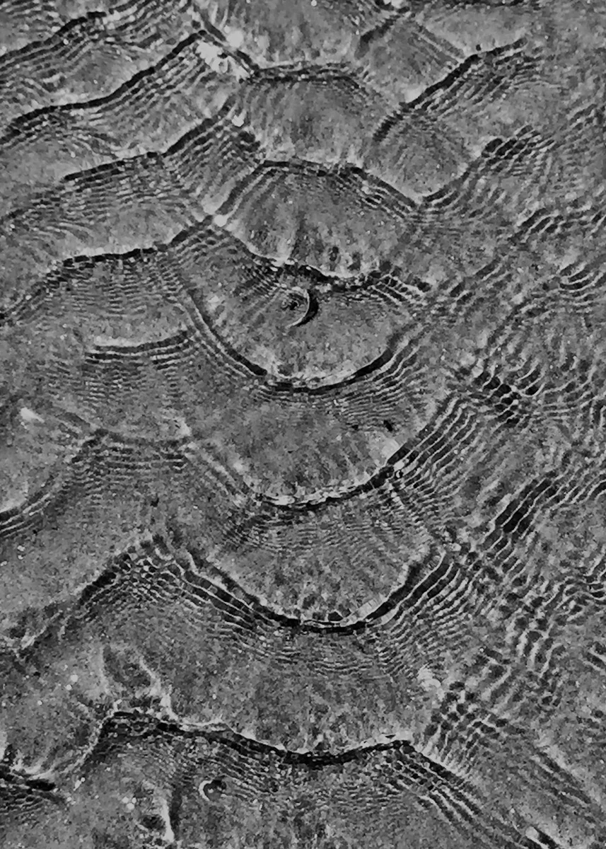 Sand Patterns #5
