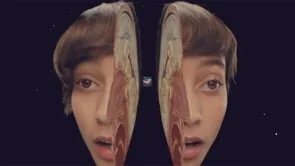 The Maccabees - Pelican