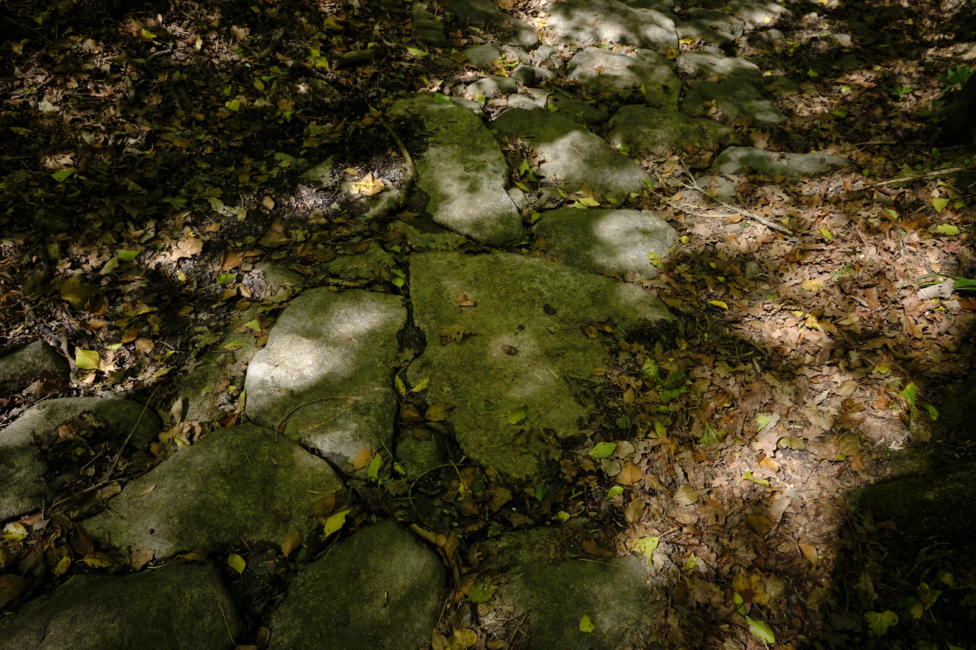 _Exp_Further_01_ 5.jpg