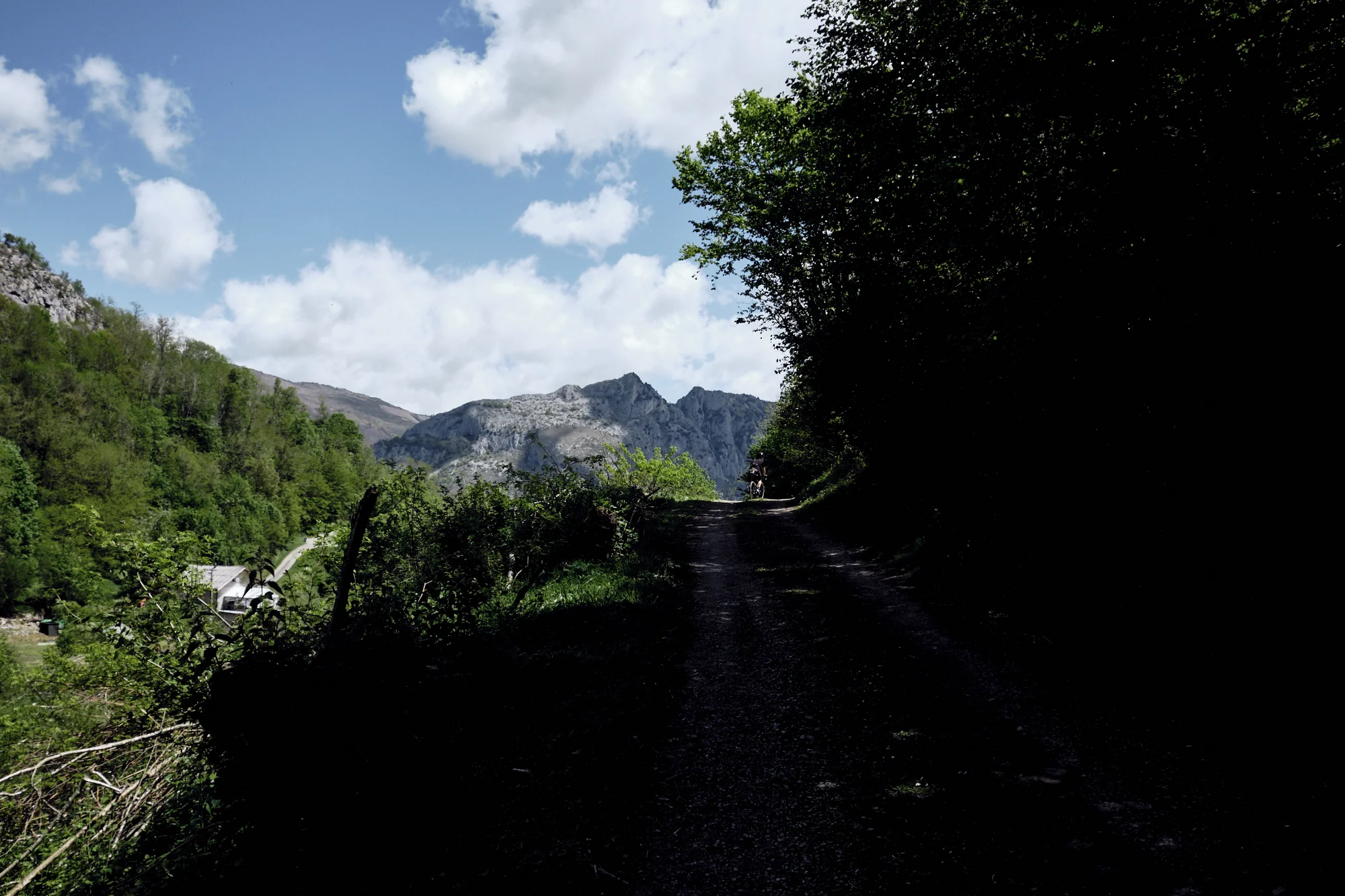 _Exp_Further_02_ 6.jpg