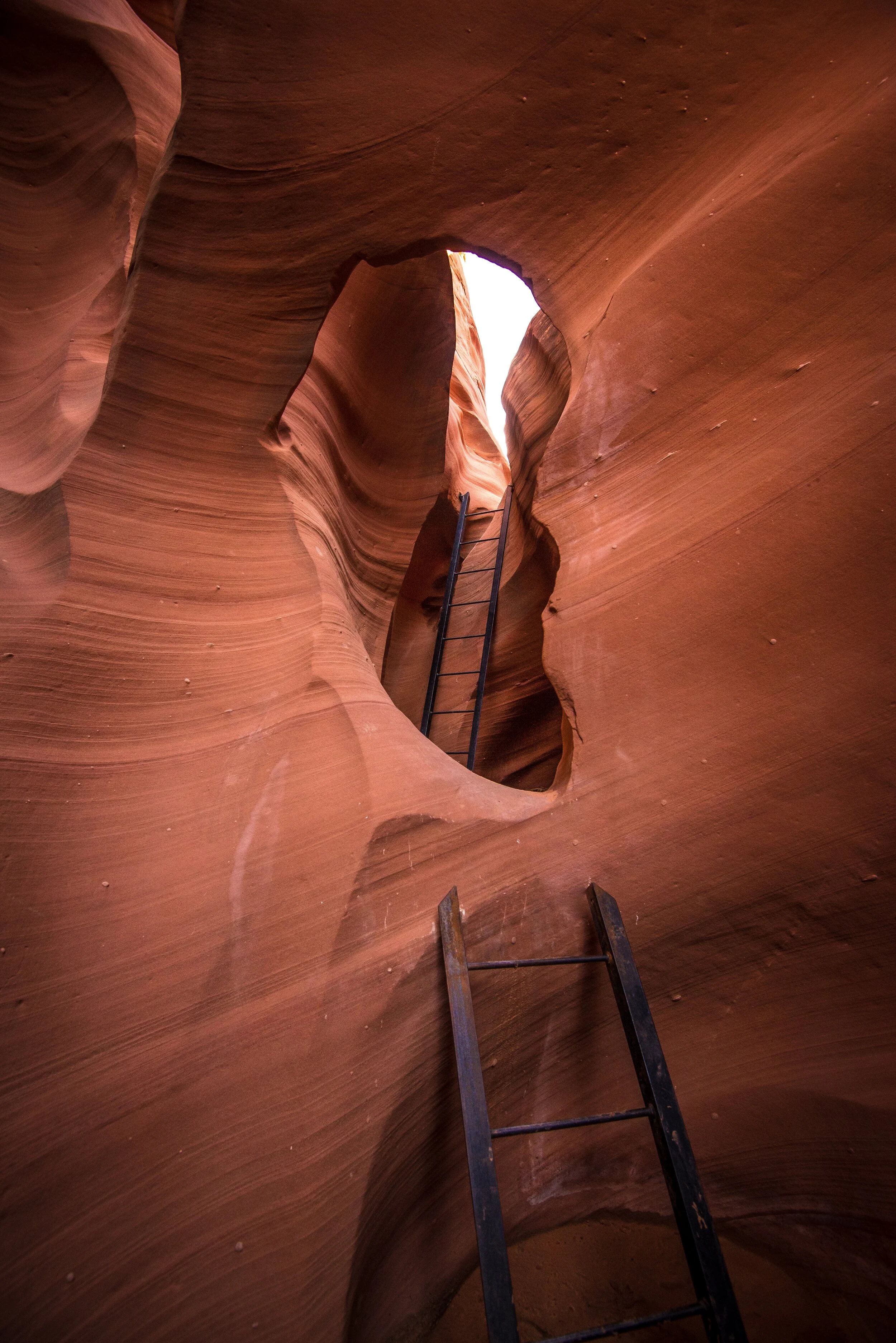 Photo by Scott Osborn on Unsplash.jpg