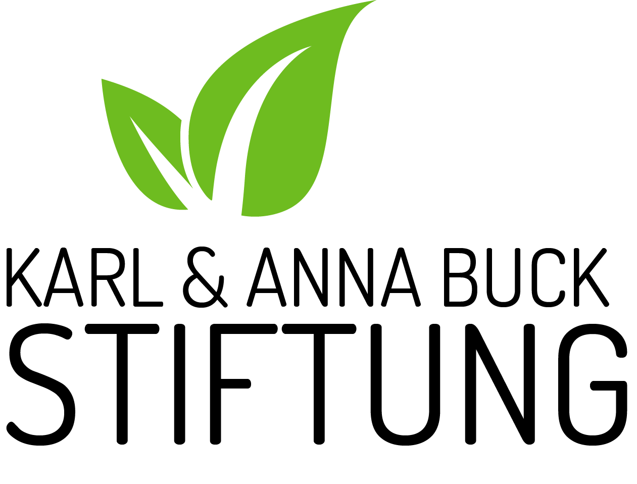 Karl &amp; Anna Buck Stiftung