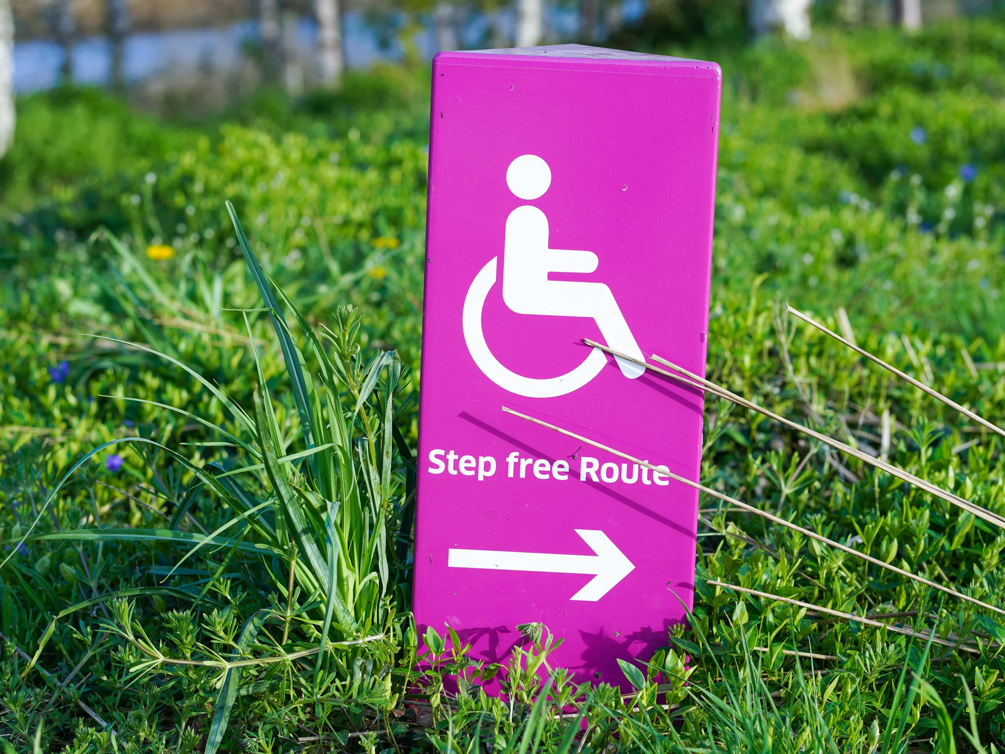 A handicapped accessible sign labeled step free route