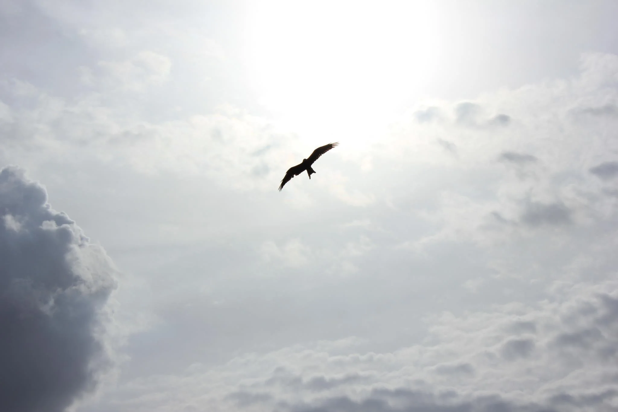 Caregiving Case Studies: Hospice Part II – End-of-Life Care in Acute Settings and at Home