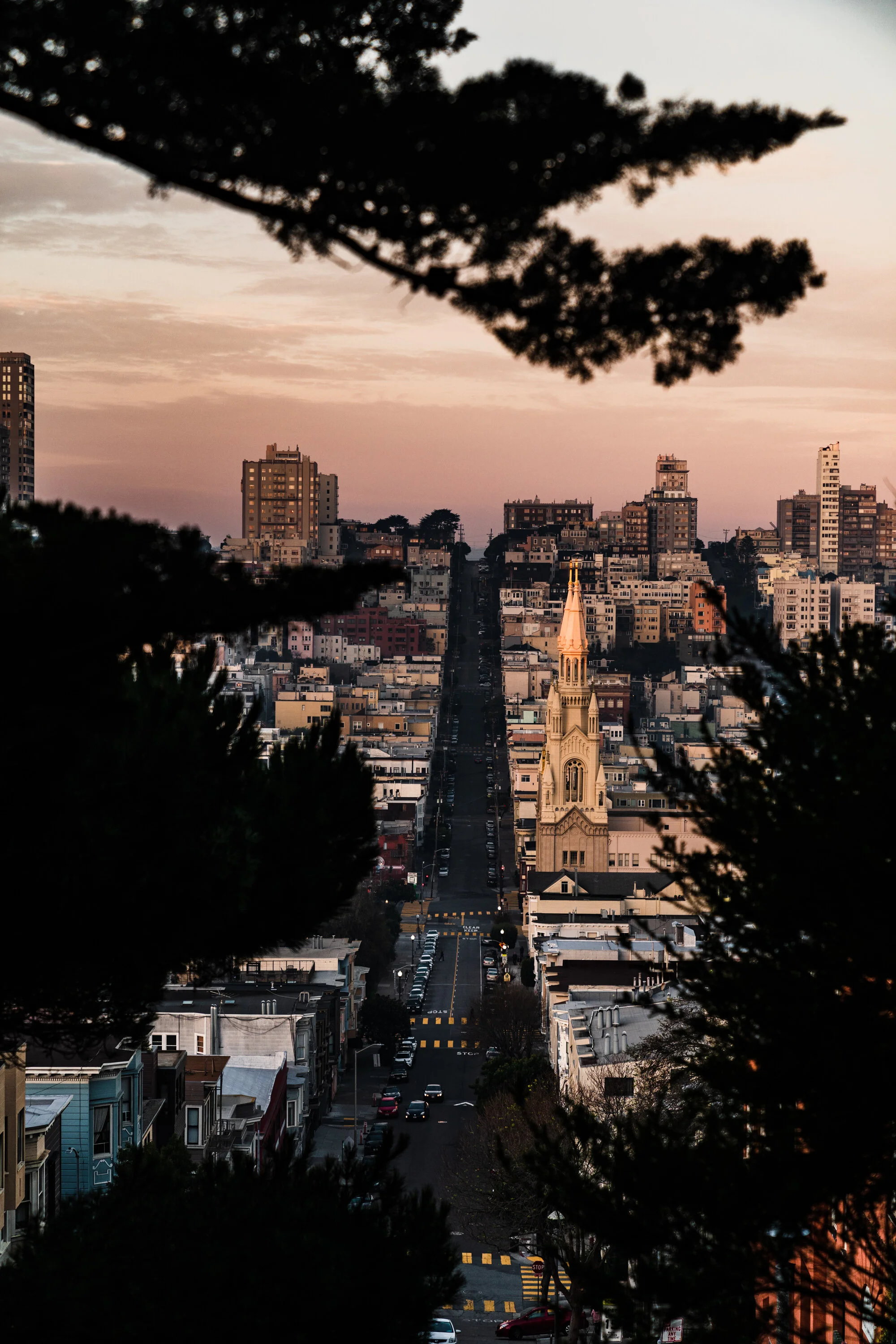 Coit Tower_0127-7307822.jpg