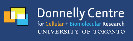 DonnellyLogo.png