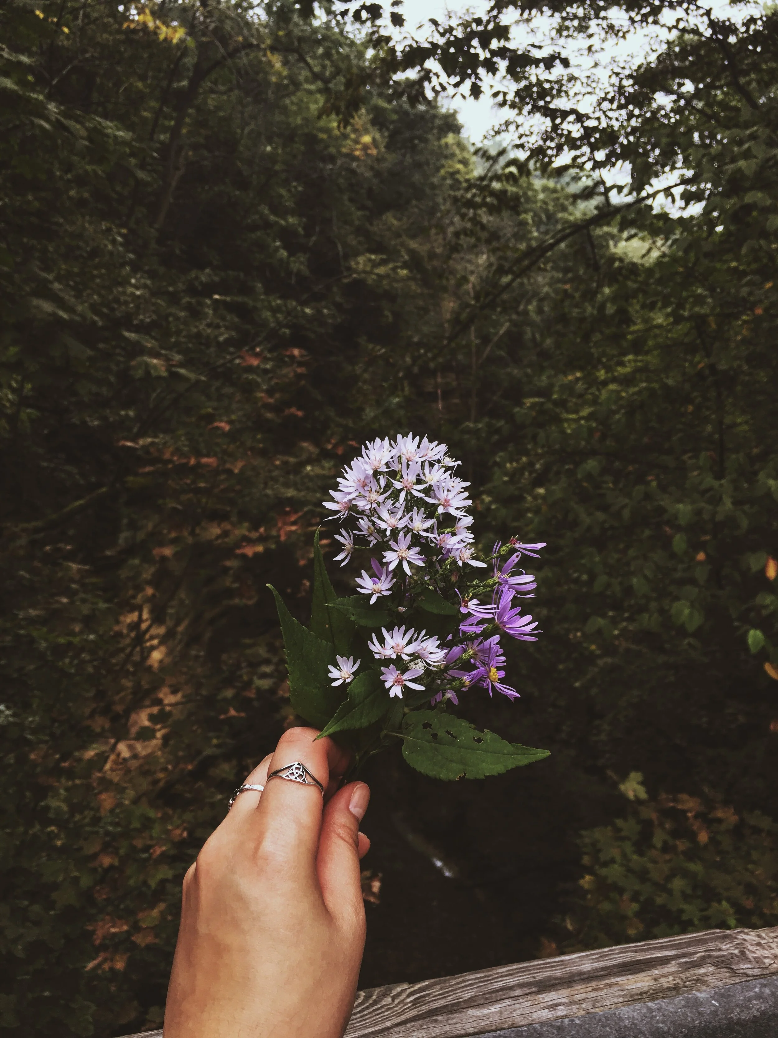 Creating your inner home.