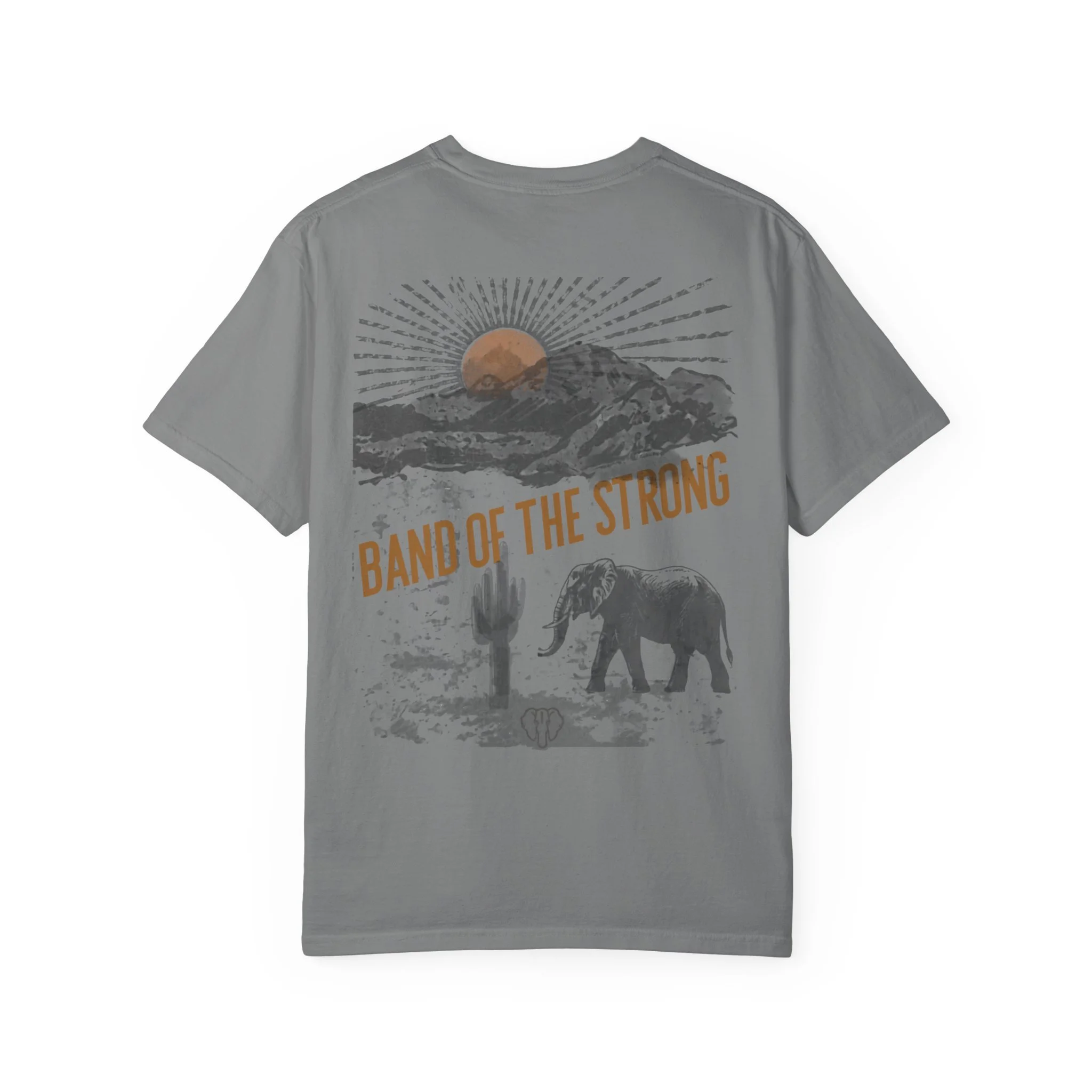 Copy of Unisex Garment-Dyed T-shirt