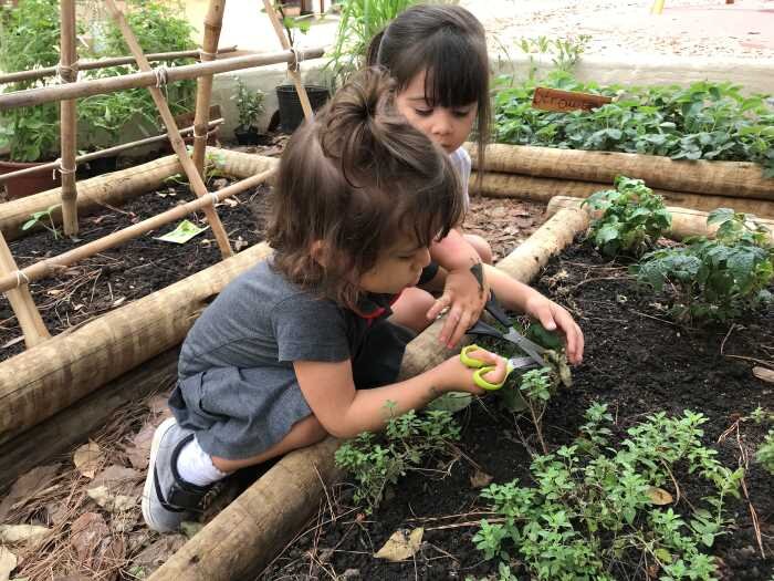 Duas alunas trabalham em uma das hortas na área externa da escola.