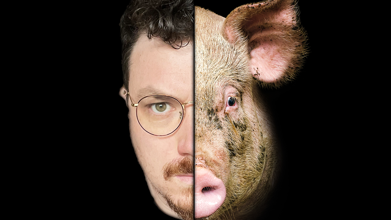 thumbnail-animals-version2-1.png