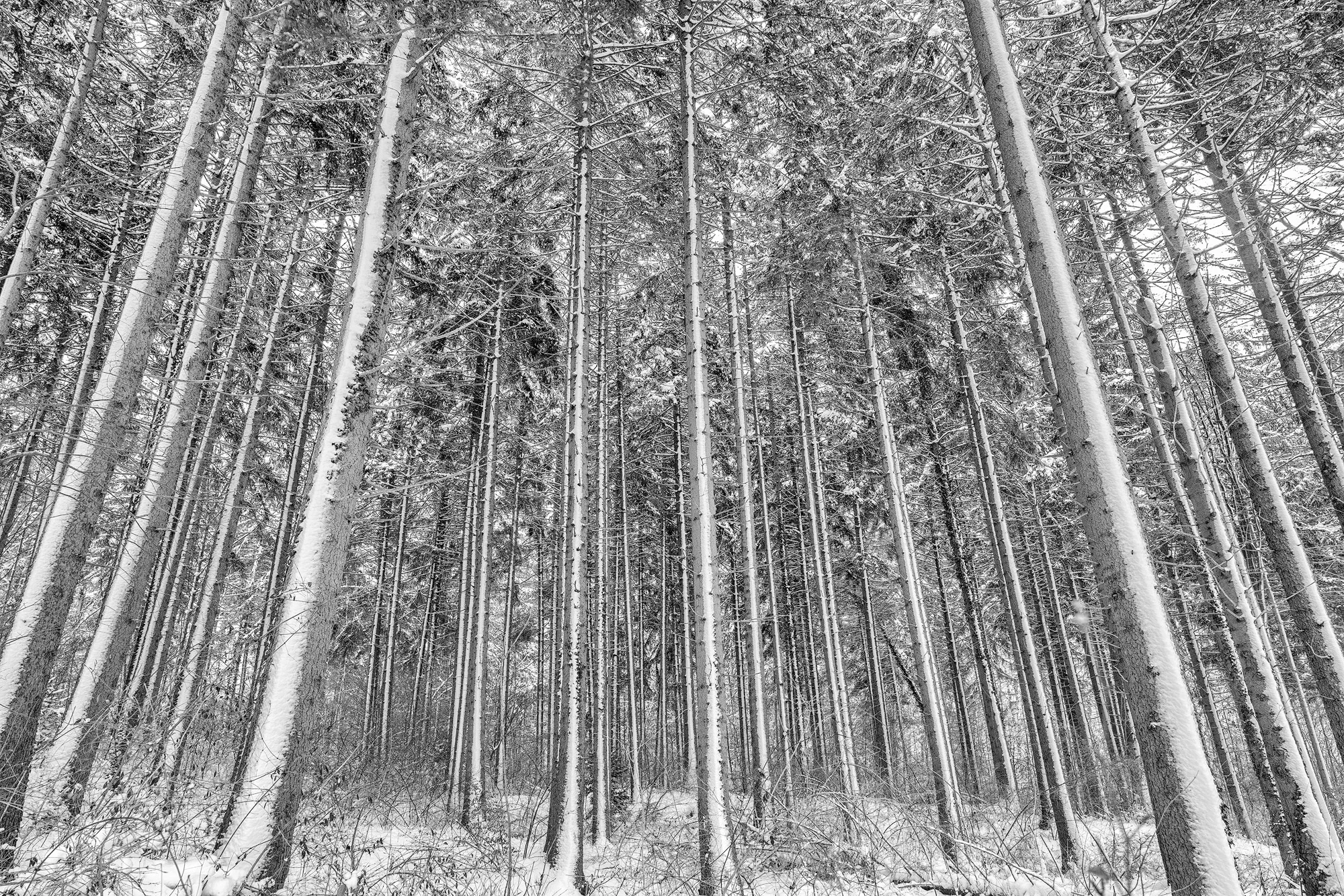  KERZENGERADE, BEI BREITBRUNN 