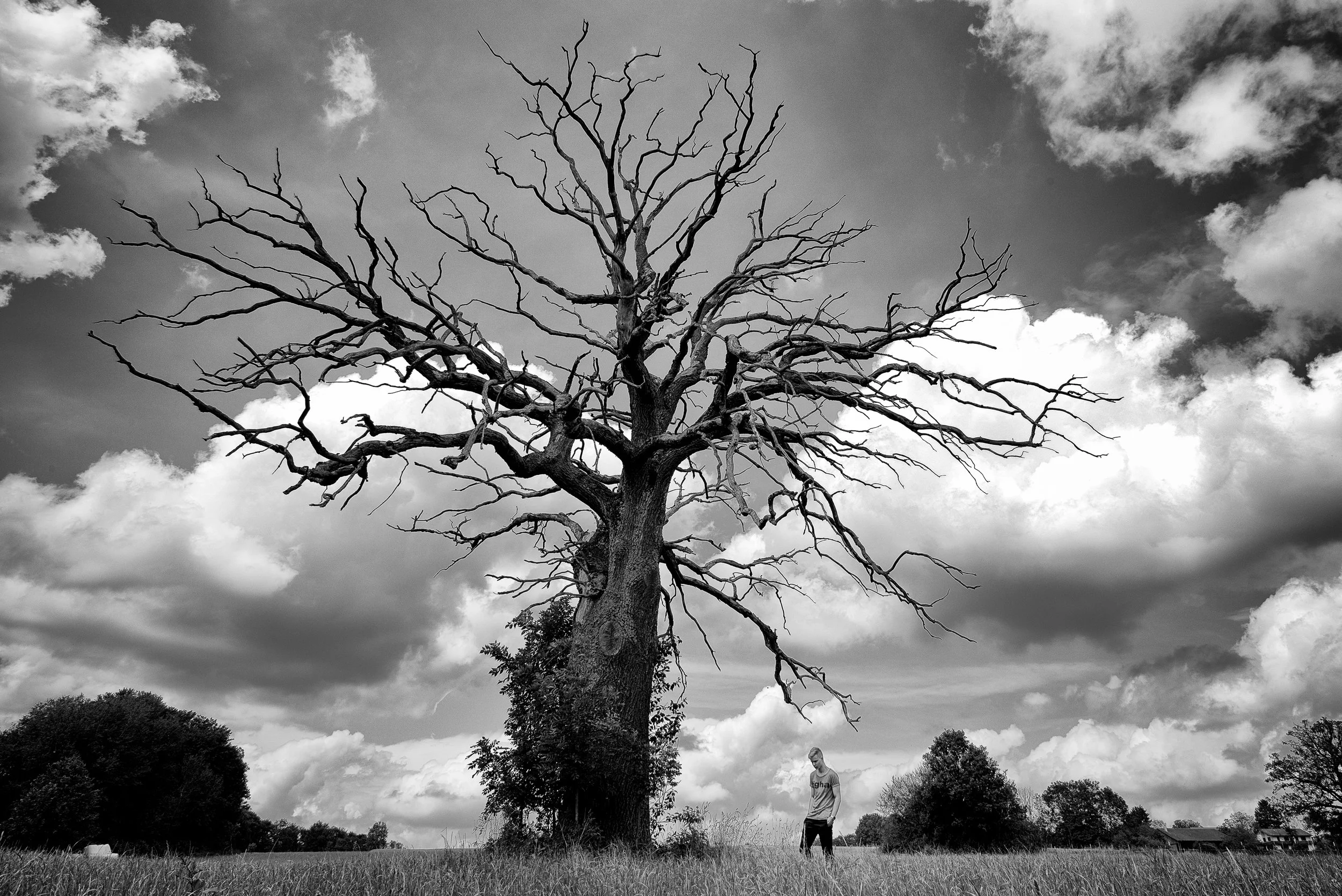  VOM BLITZ GETROFFEN, HERRSCHING 