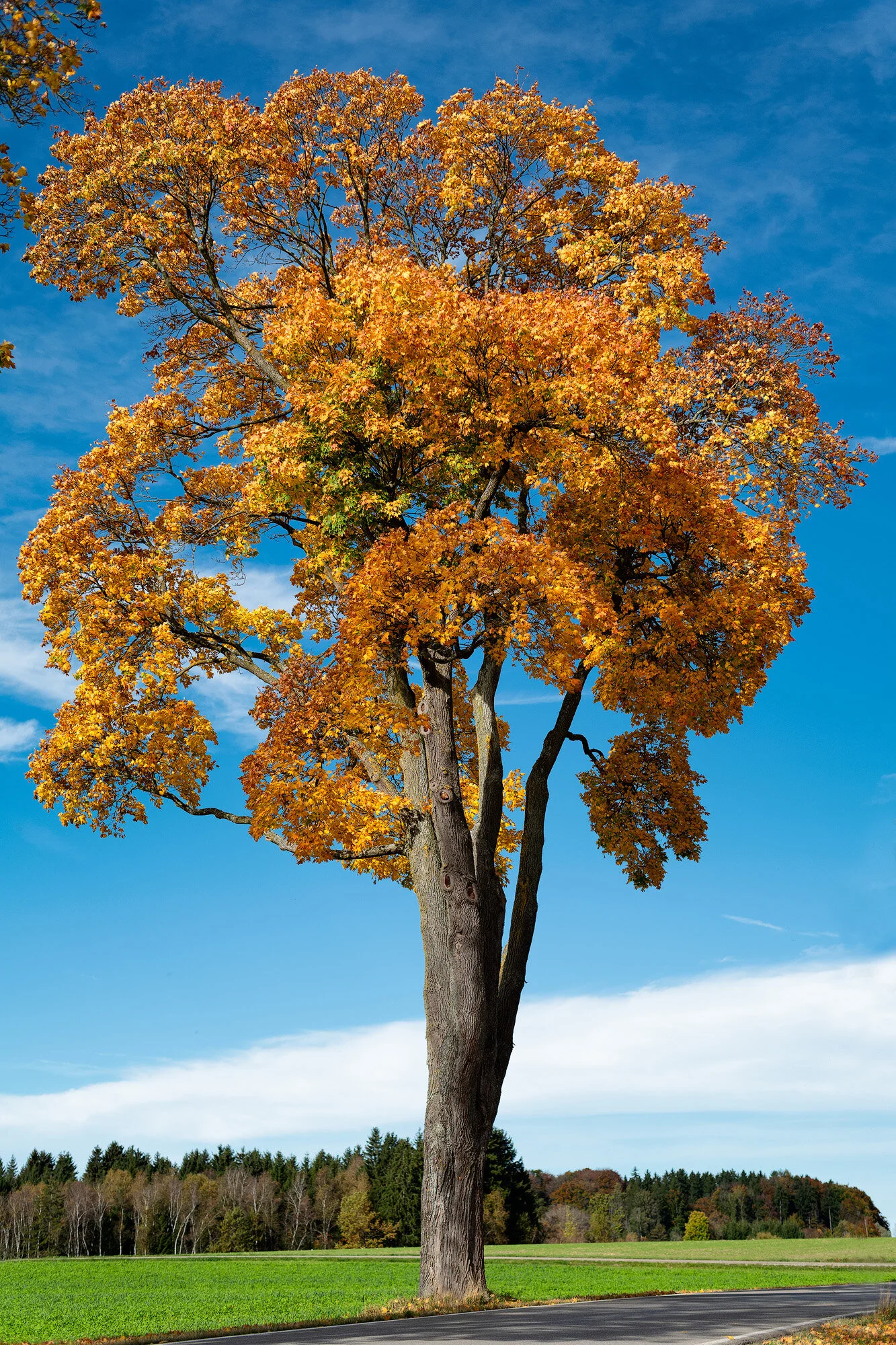  AM WEGESRAND NAHE TUTZING 