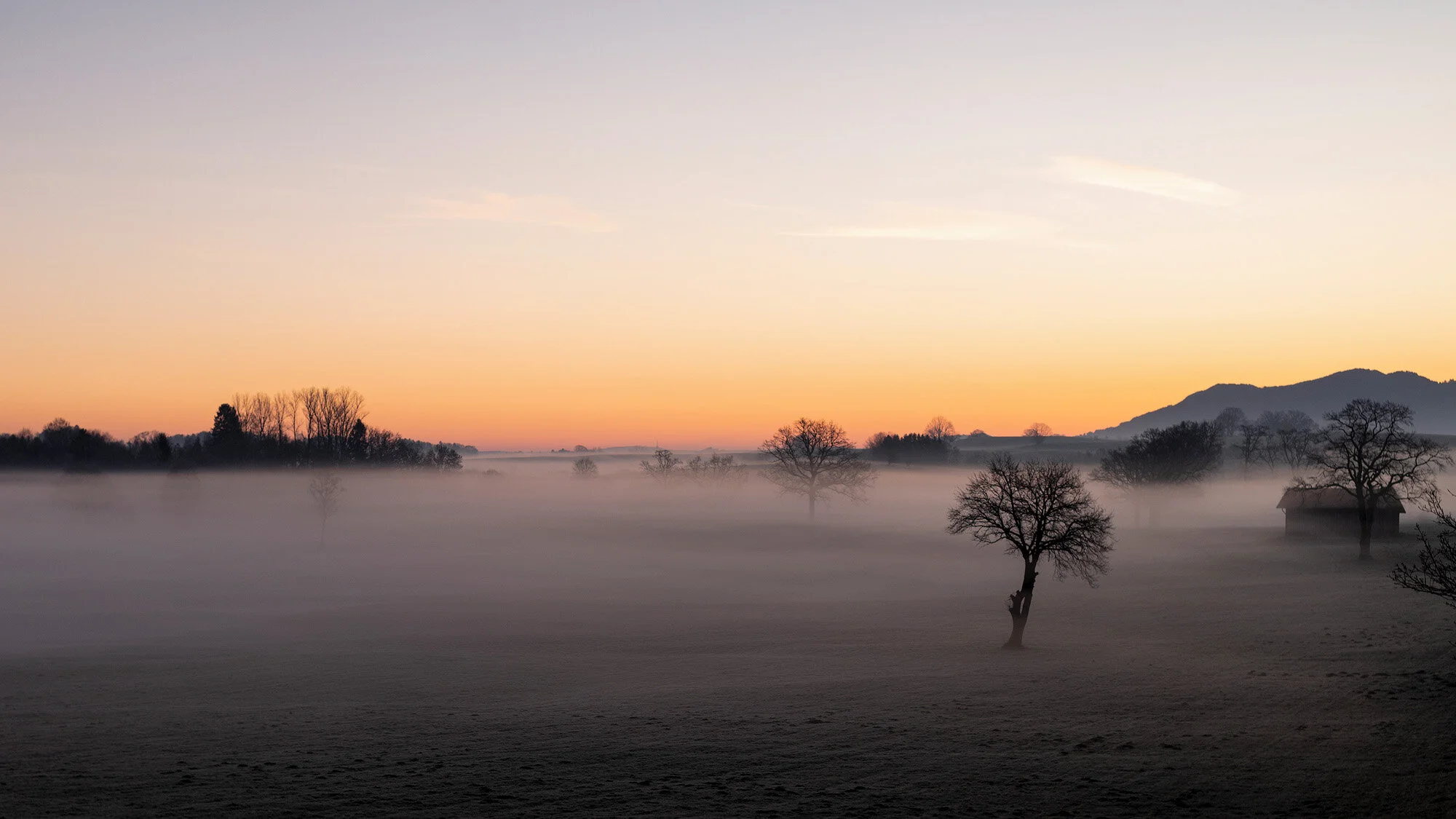 Frühnebel nahe Weilheim