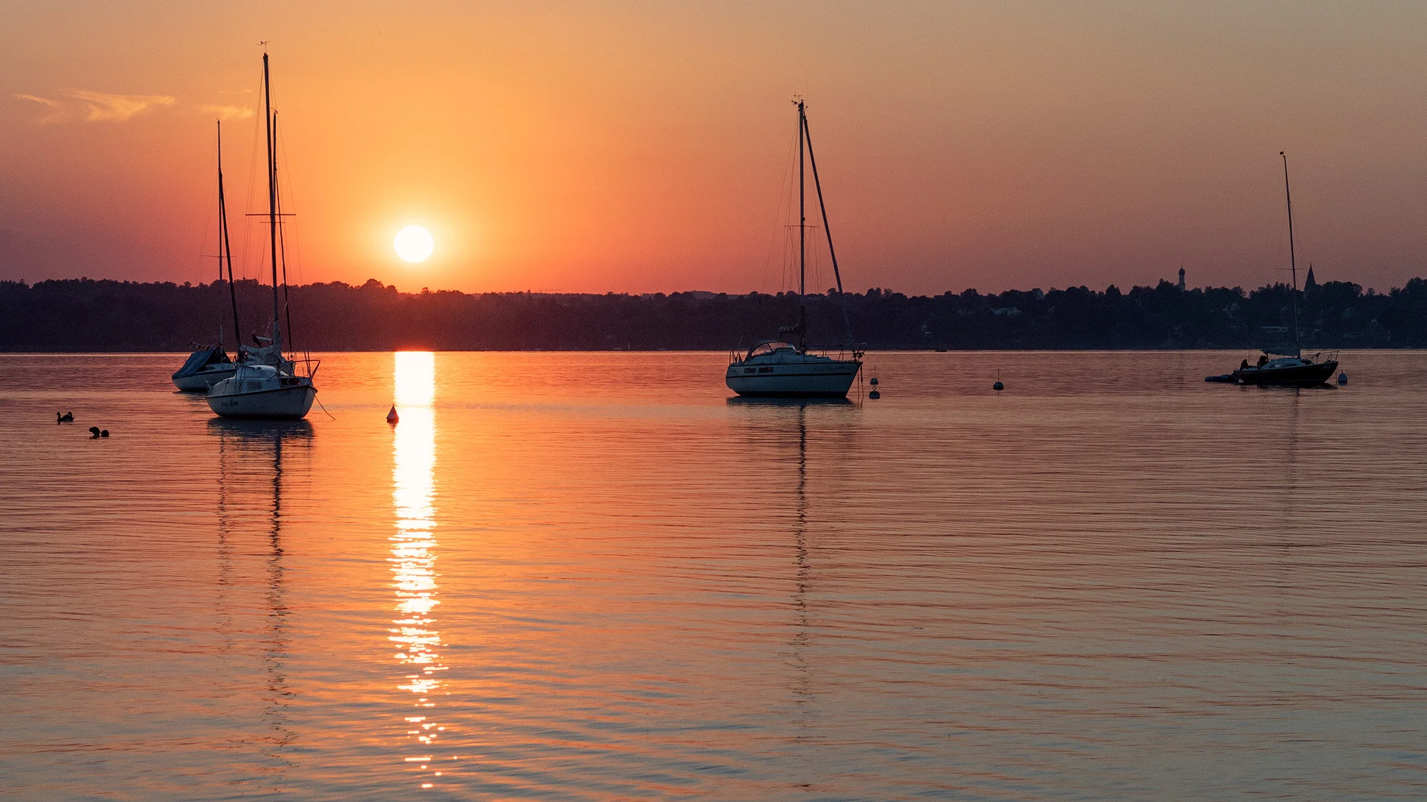  SOMMERABEND AUF DEM SEE 
