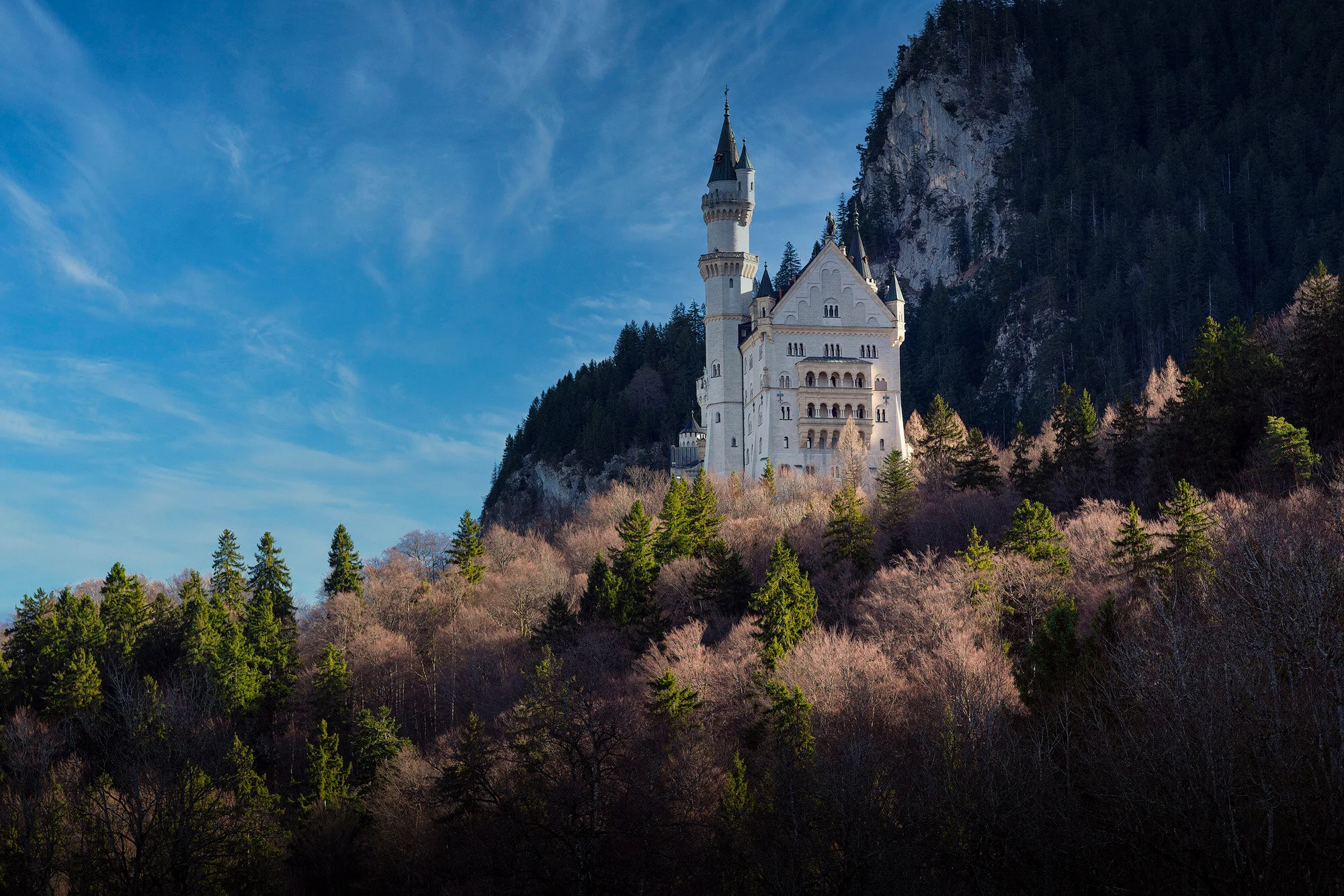  SCHLOSS NEUSCHWANSTEIN 