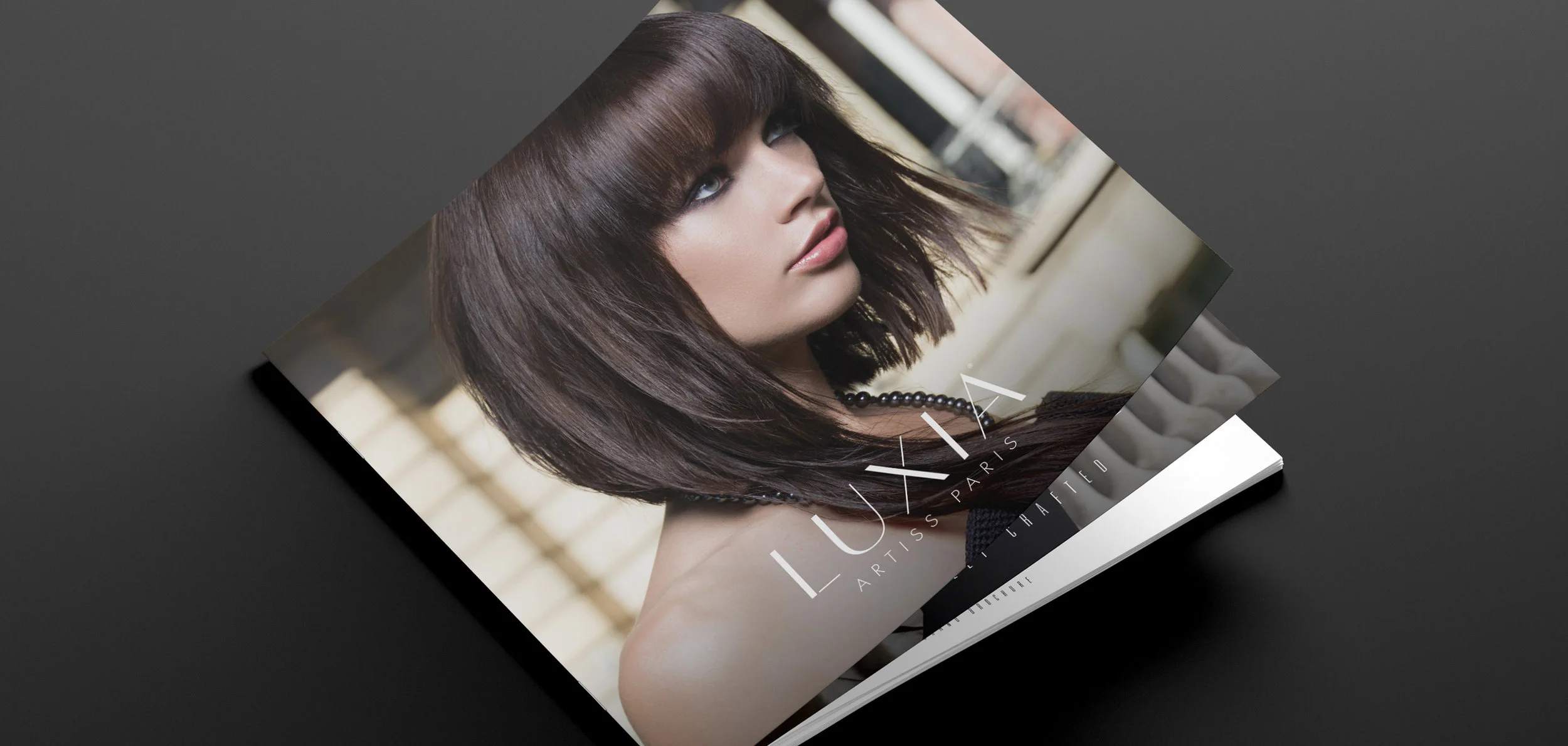 BCG_Portfolio_LuxiaArtissParis_4.jpg