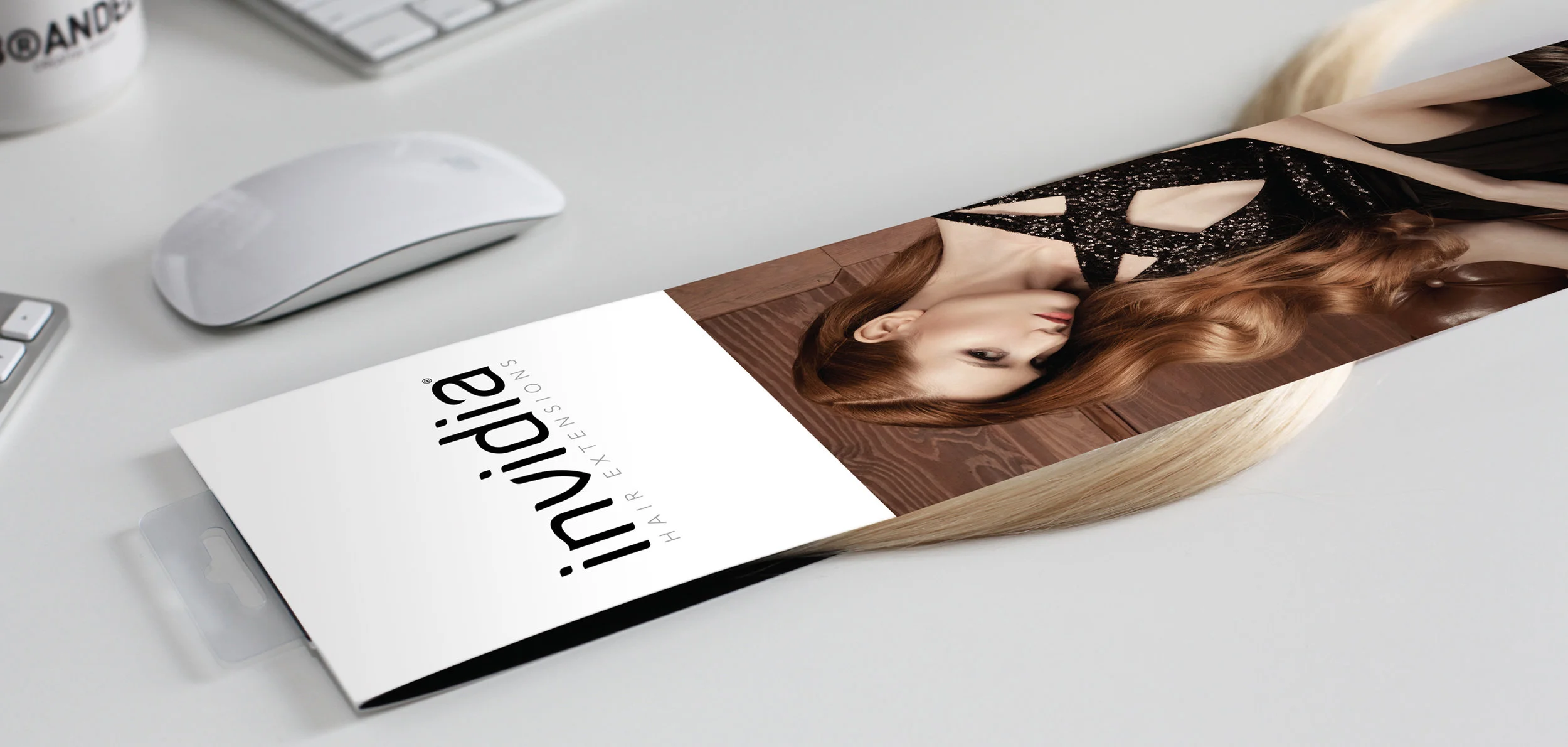 portfolio_invidia_image_02.jpg