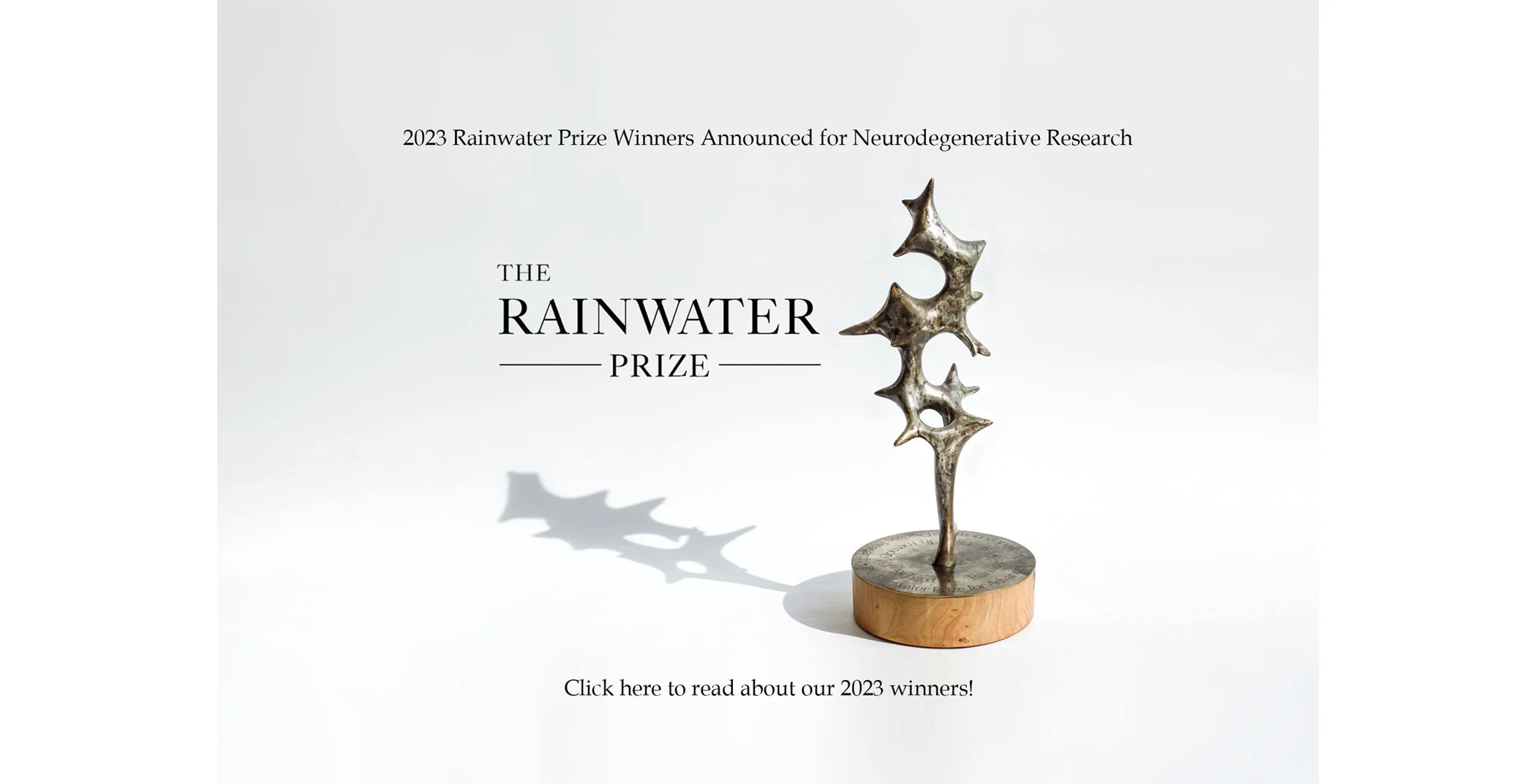 Rainwater Charitable Foundation