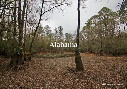 Alabama resized.jpg