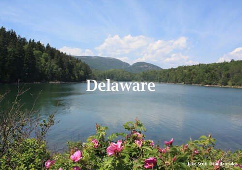 Delaware resized.jpg