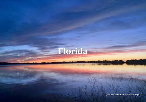 Florida resized.jpg