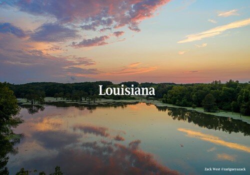 Louisiana resized.jpg