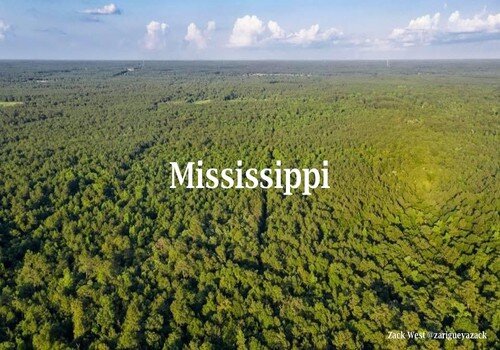 Mississippi resized.jpg
