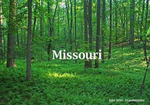 Missouri resized.jpg