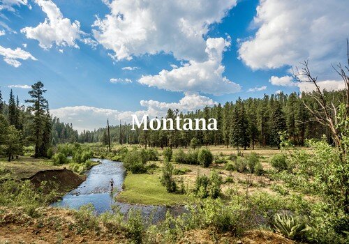 Montana resized.jpg