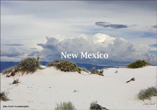 New Mexico resized.jpg