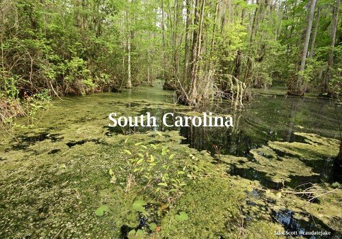 South Carolina resized.jpg