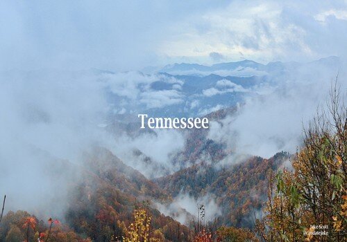 Tennessee resized.jpg