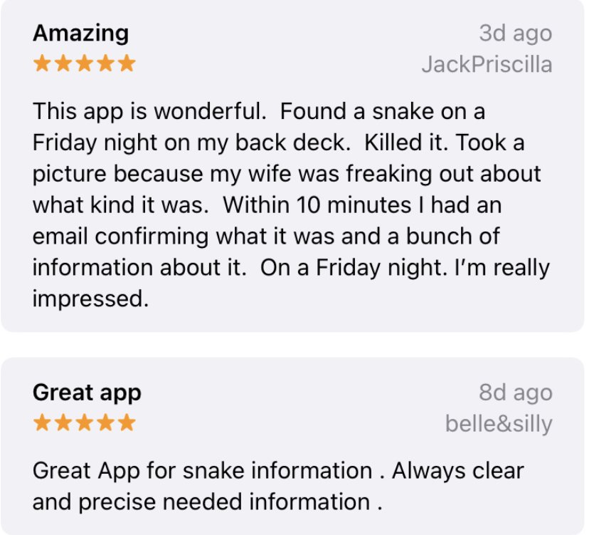 Apple Review 5.jpg