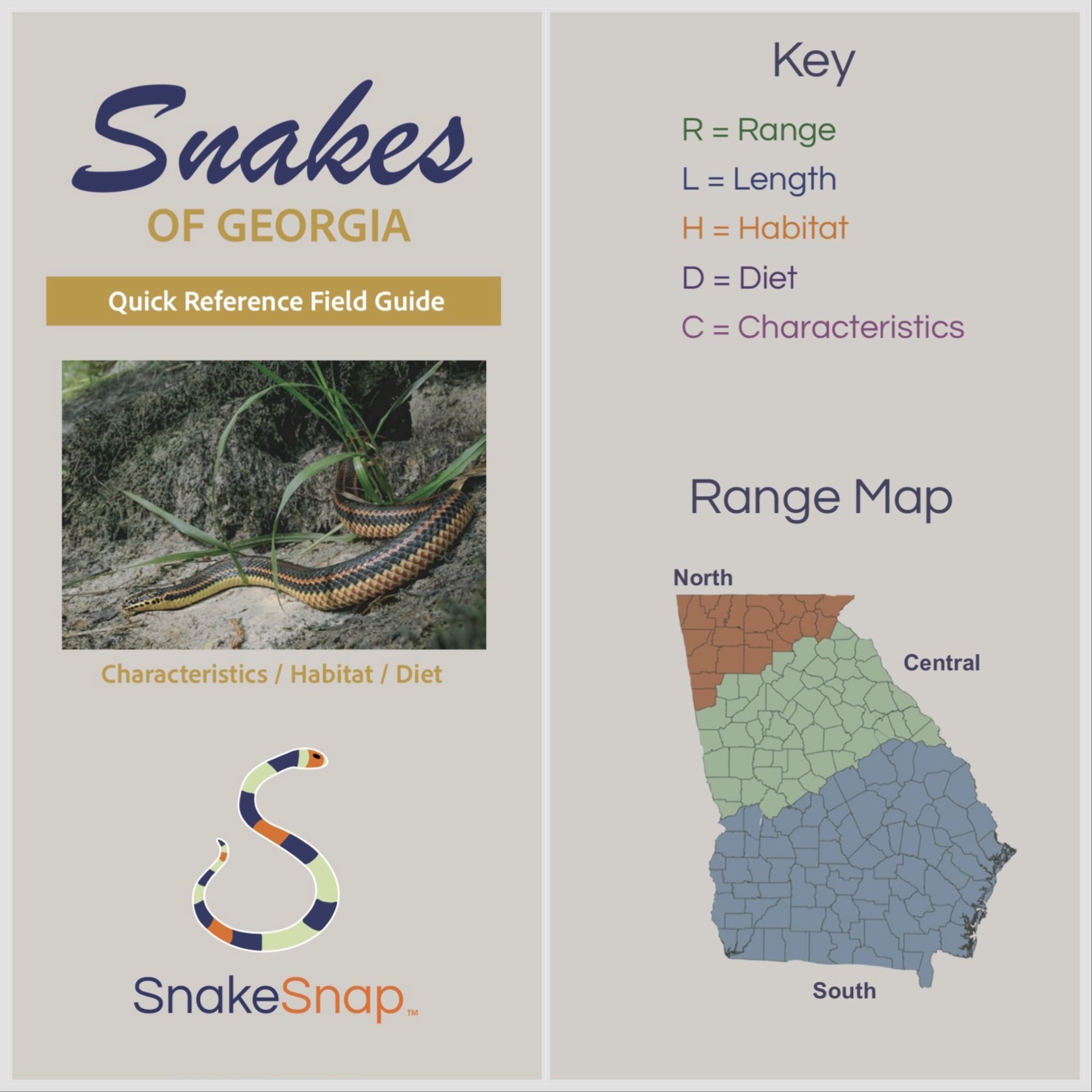 Georgia Snake Identification PDF Quick Reference Guide