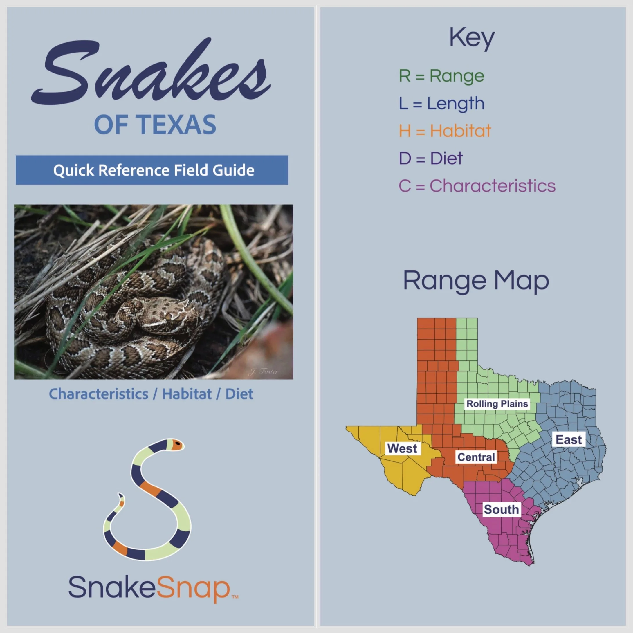 Snakes of Texas Cover.JPEG