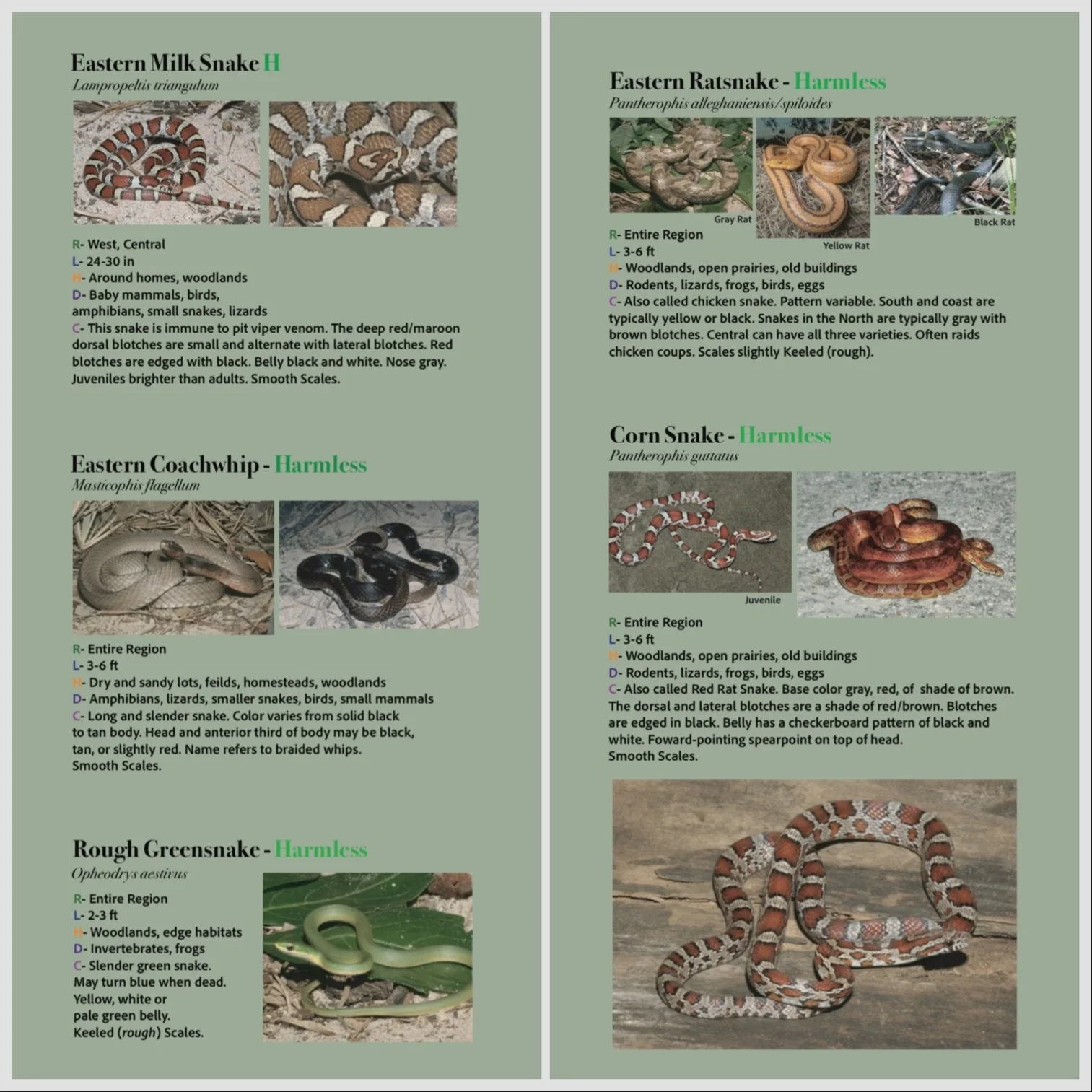 Carolinas Digital Guide 2.JPEG