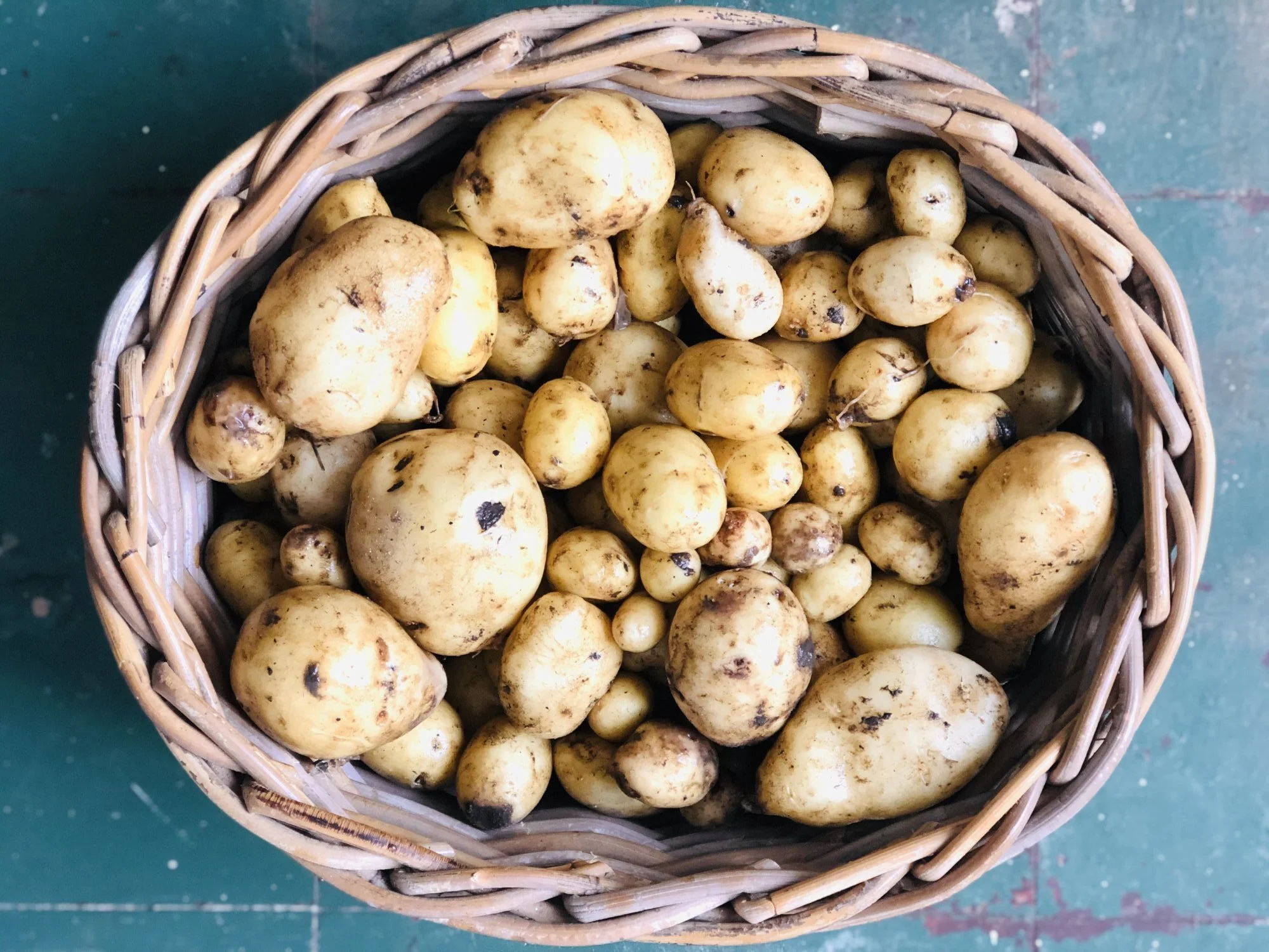 Broadspear Potatoes
