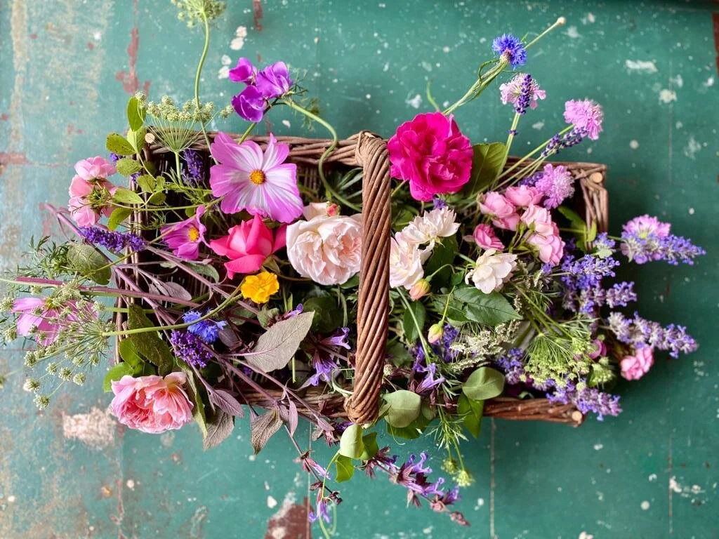 How Our Flower Cutting Garden Got Started