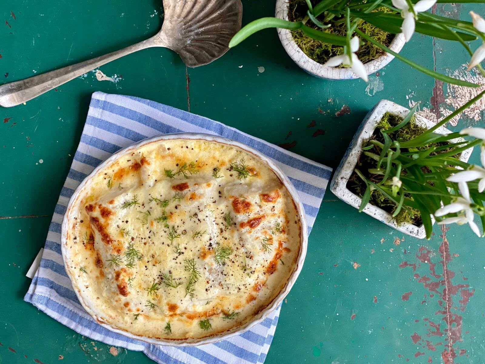 Melt-in-the-Mouth Creamy Fennel & Fish Gratin