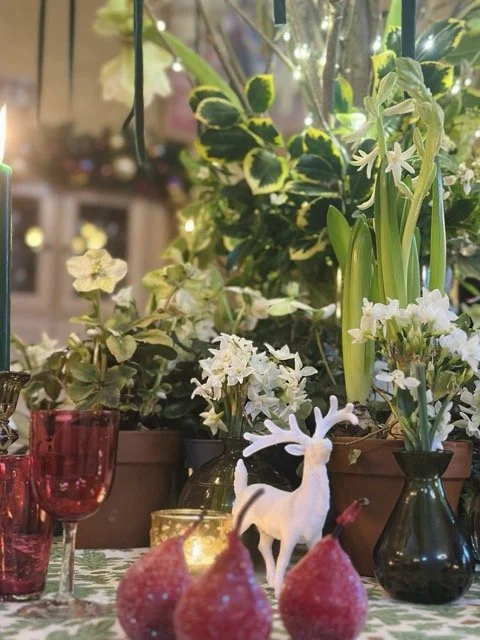 IMG_1572 Medium.jpeg