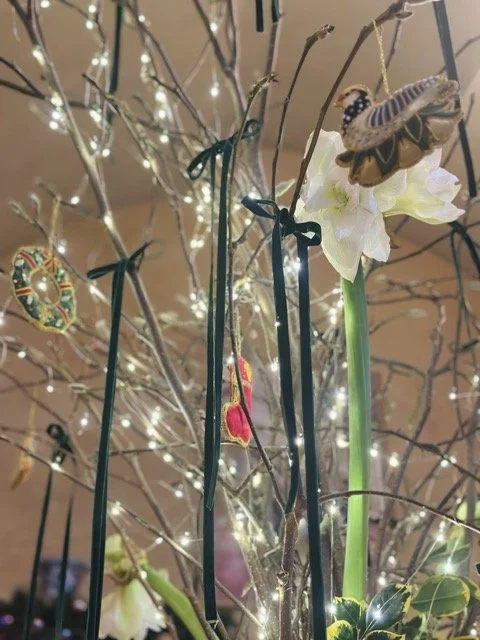 IMG_1573 Medium.jpeg