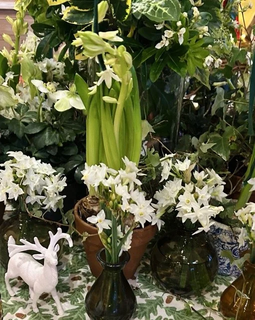 IMG_3406 Medium.jpeg