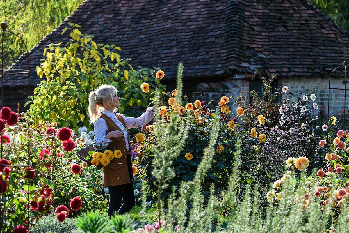 Sowing Cutting Flowers Seeds