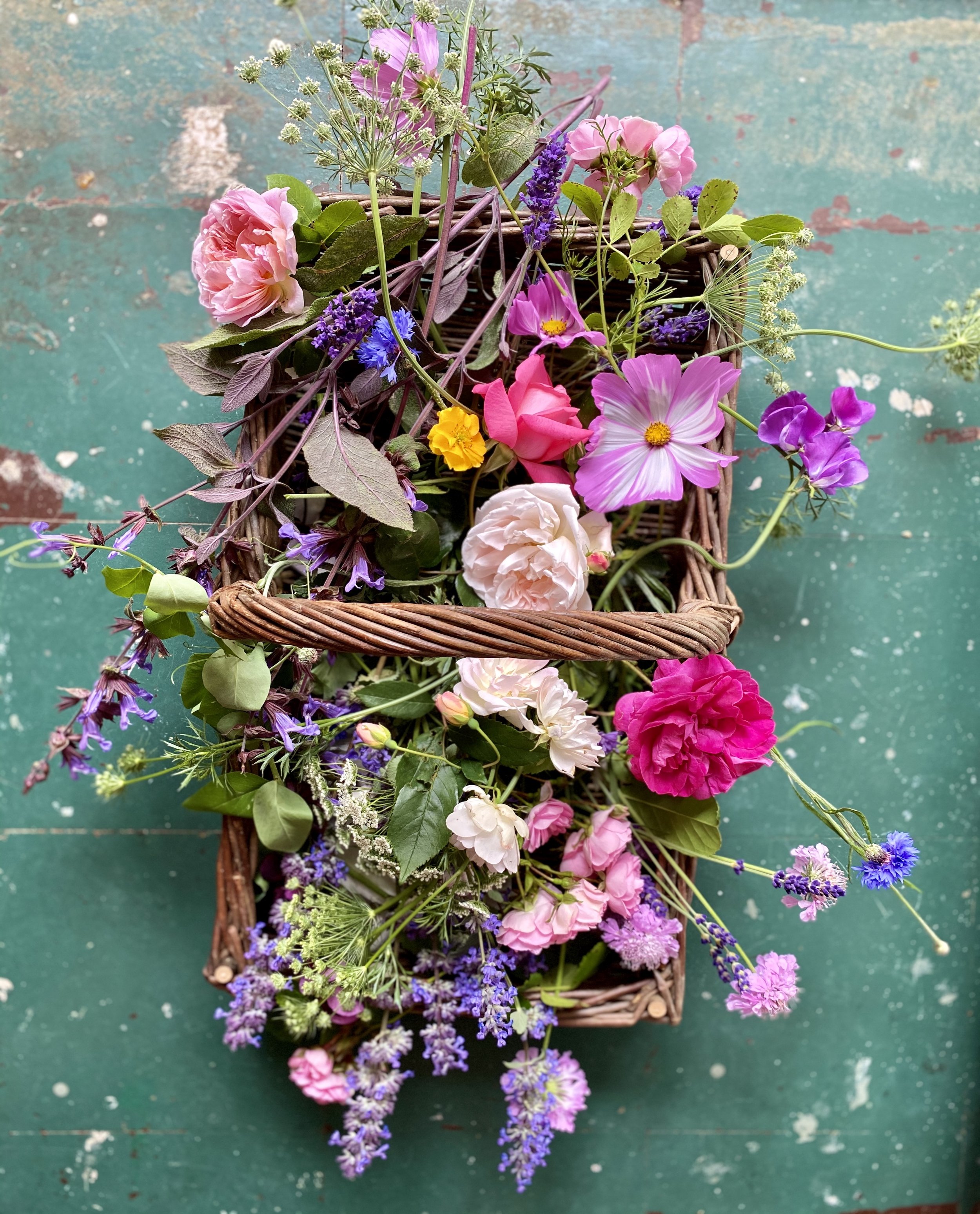 Cutting flowers in basket.jpg