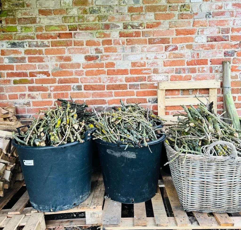 winter branches.webp