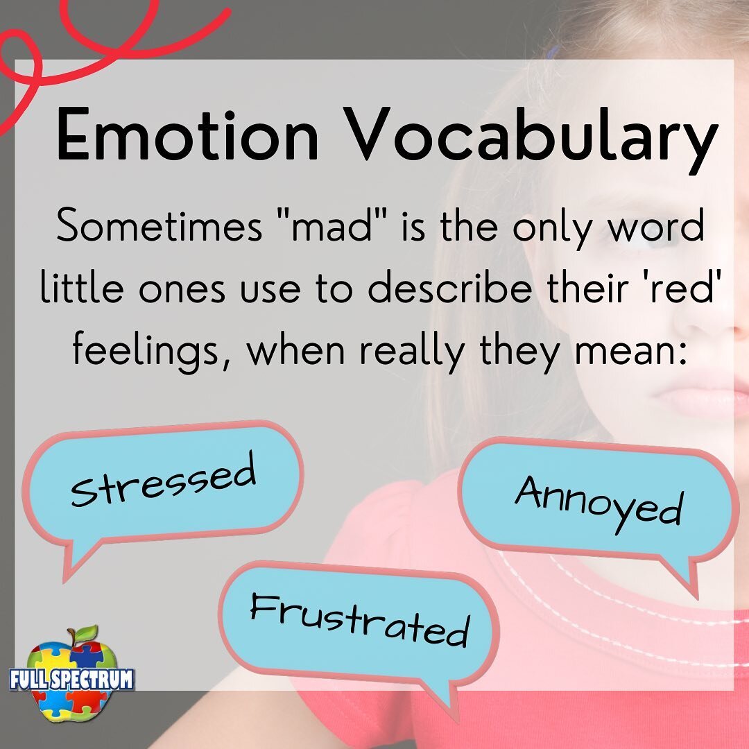 📢 Expand your child&rsquo;s emotional vocabulary with our upcoming EQ webinars, private sessions, and more!📢

Furthermore, if &ldquo;mad&rdquo; is the only word for their feeling, the corresponding reaction (crying, tantrum) takes place even when t