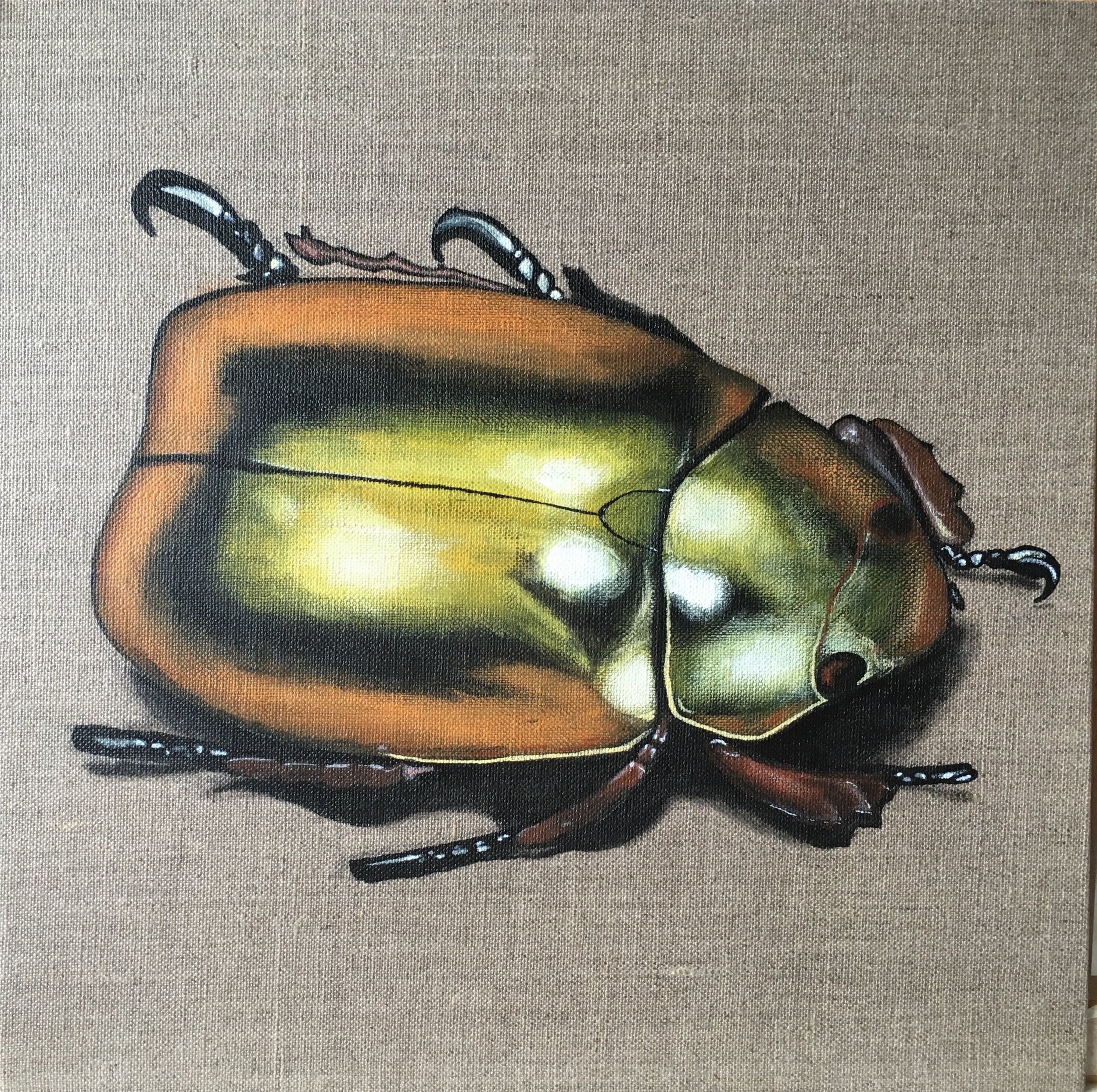 Gold Beetle