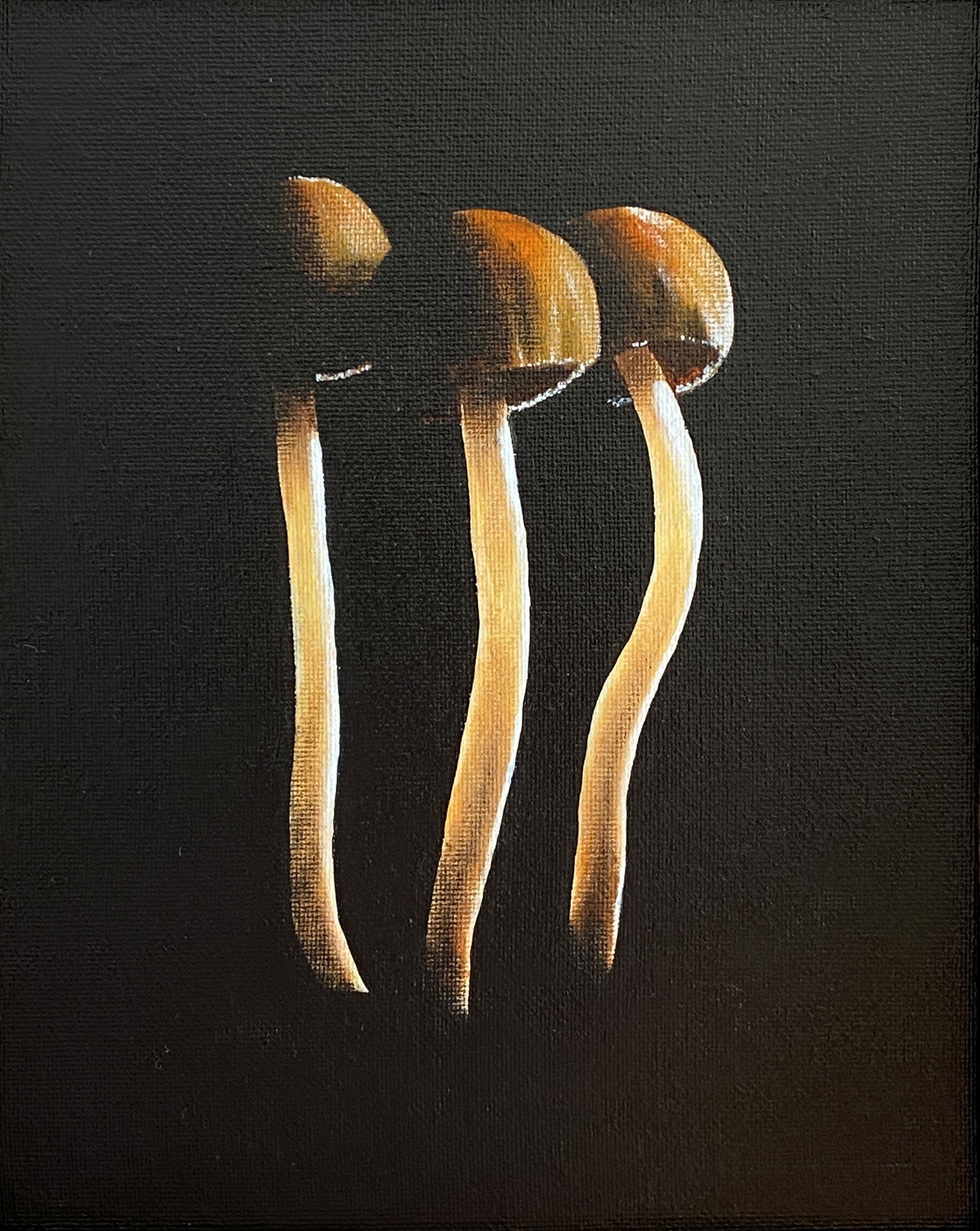 'Three Mushrooms' Card