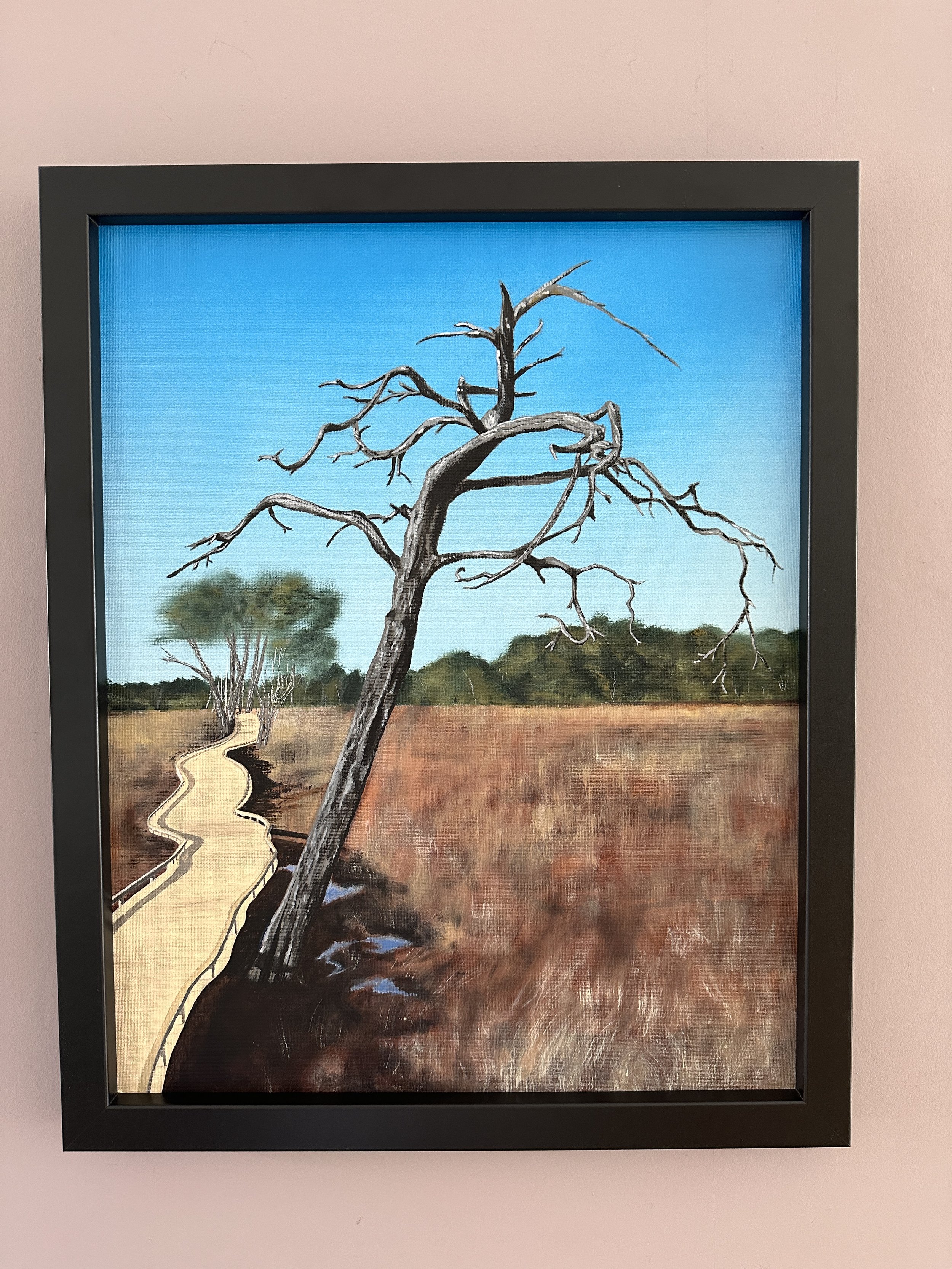 Thursley Common Boardwalk